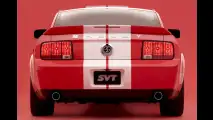 Entfesselter Mustang