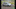 Novo Kia Picanto Flex: Impressões ao dirigir, consumo de combustível e mais fotos