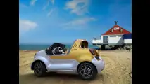 smart forsea