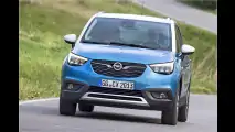Meriva-Erbe mit französischer DNA