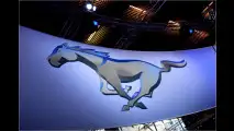 Pony-Parade