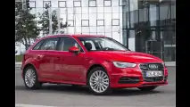 Für den Öko-Ingenieur