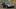 Alfa Romeo 166