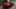 Toyota Yaris 2019 - Brasil