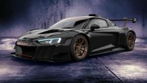 Audi R8 LMS GT2 Edizione a colori