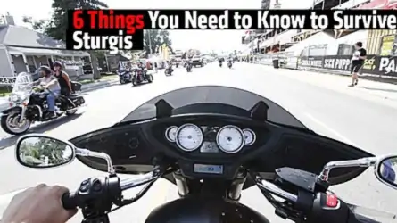 6 Things You Need to Know to Survive Sturgis 6 Things You Need to Know to Survive Sturgis
