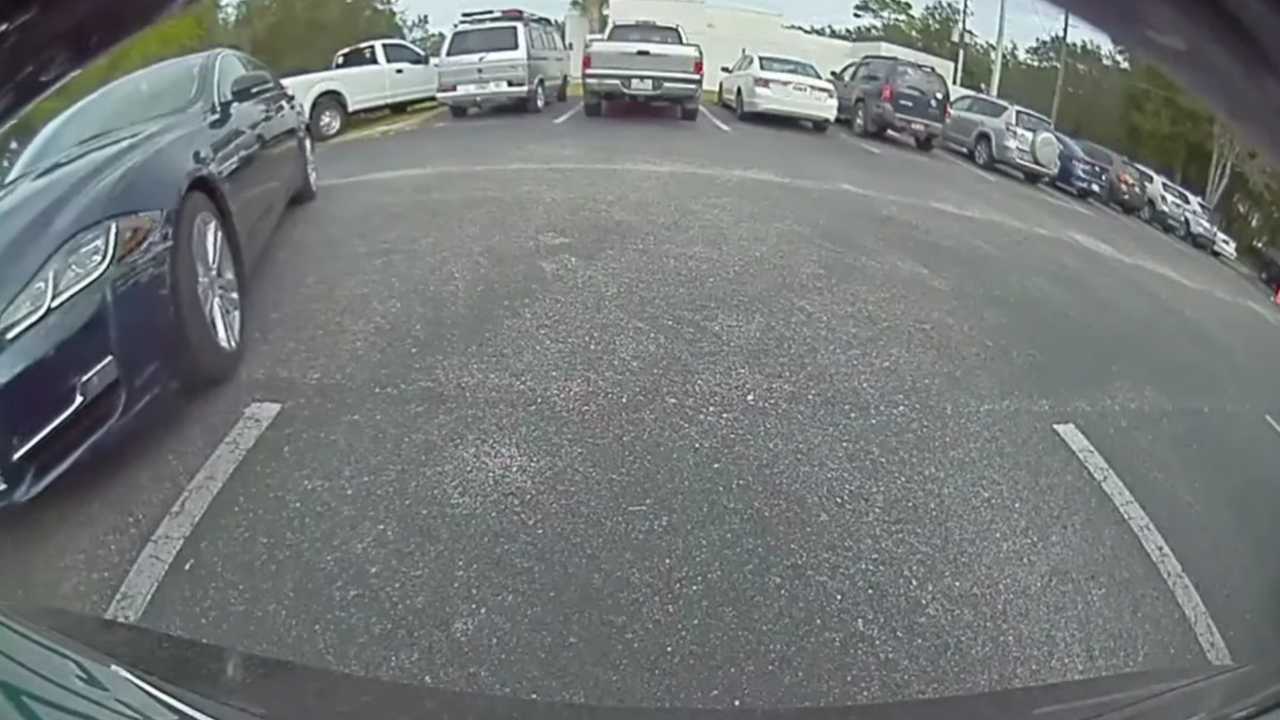 Do You Recognize This Jaguar? What About This Tesla Owner?