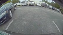 Do You Recognize This Jaguar? What About This Tesla Owner?