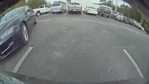 Do You Recognize This Jaguar? What About This Tesla Owner?
