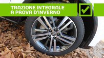 Audi Q5 55 TFSI e quattro S tronic S line plus, pro e contro