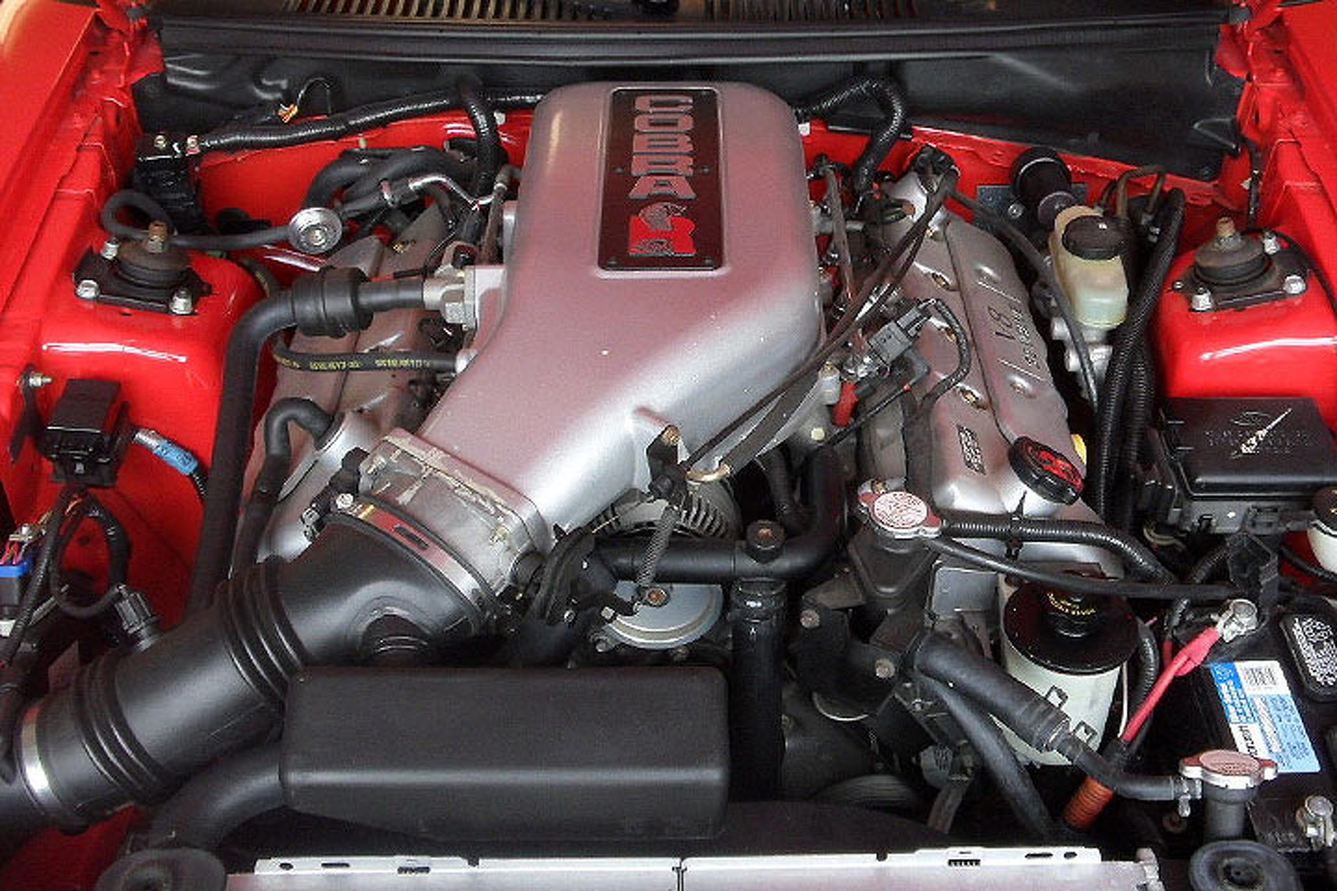 The Ford Mustang Cobra R is One Mean Future Classic