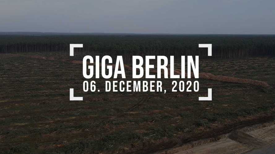 Tesla Giga Berlin: Tree Harvesting Halted Because Snakes Are Sleeping
