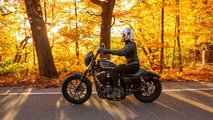 2021 Harley-Davidson Iron 1200