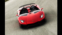 Lamborghini Aventador J