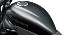 Kawasaki Eliminator 400 SE