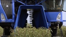 Produzione di mandorle in Sicilia: crollo del 70% a causa della siccità