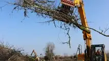 Escavatori JCB: abbattono un frutteto