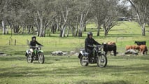Kawasaki Stockman Dual-Sport Motorcycle
