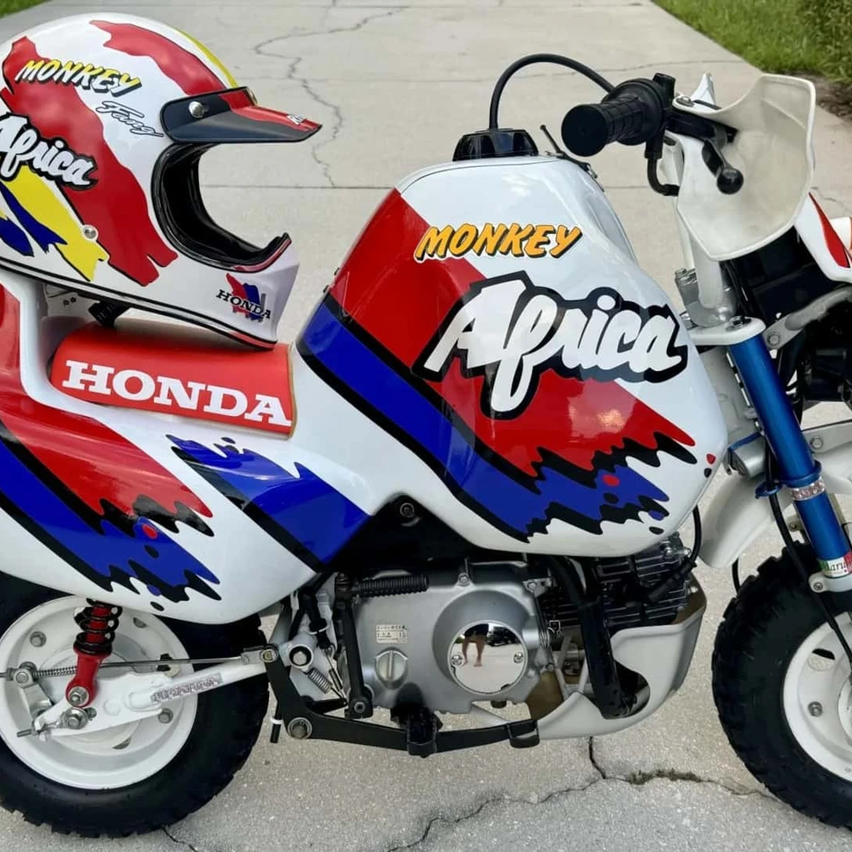 What Do You Think, Should Honda Build A New Baja Monkey Africa?
