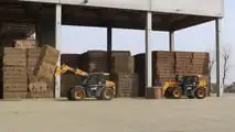 JCB: trasmissione variabile DualTech VT  per i sollevatori di Agro PO