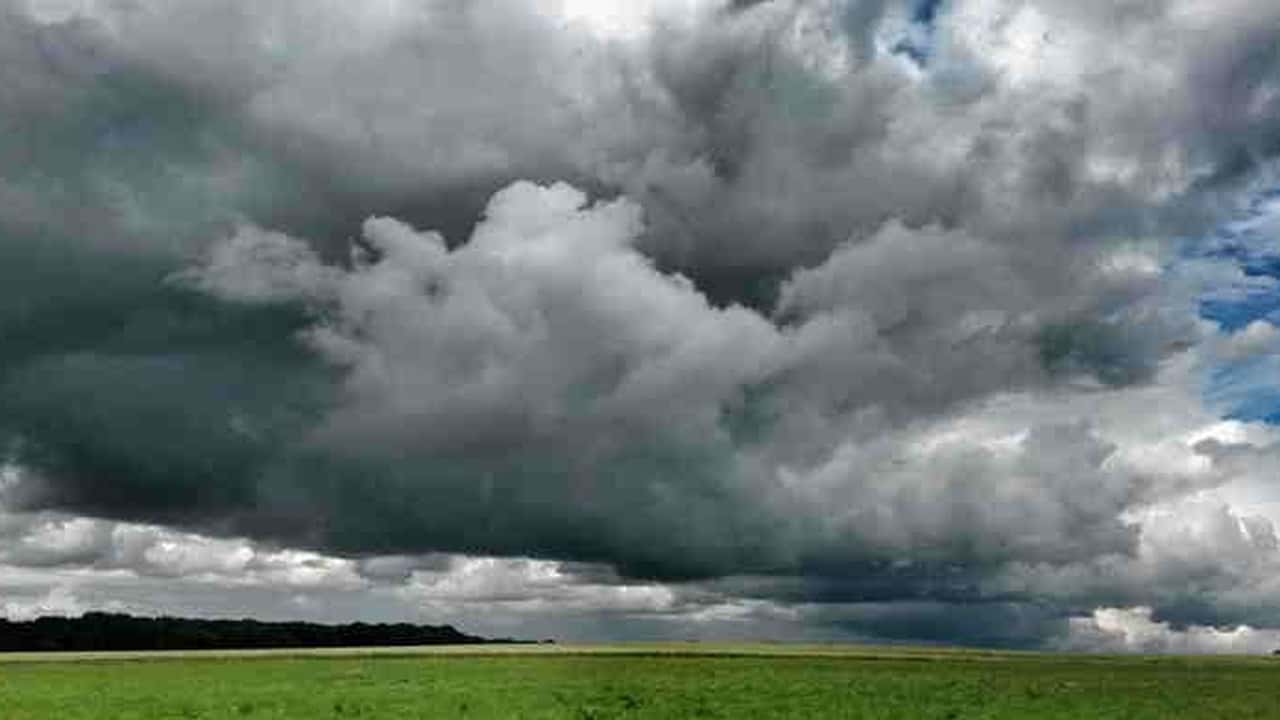 Poizze catastrofali: esclusione delle Imprese agricole 