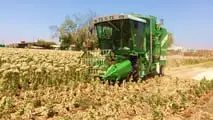 Le  mietitrebbie parcellari (plot combines)