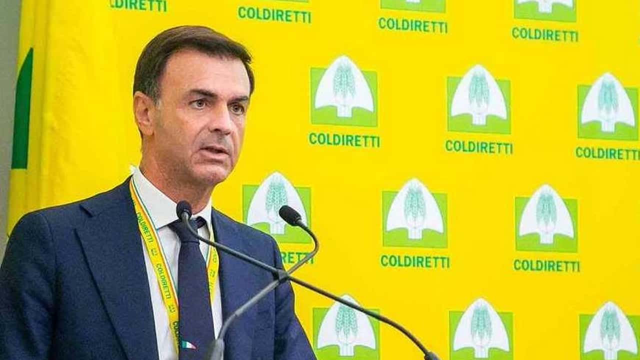 Dazi USA: Coldiretti chede fondi garanzia per gli importatori agricoli
