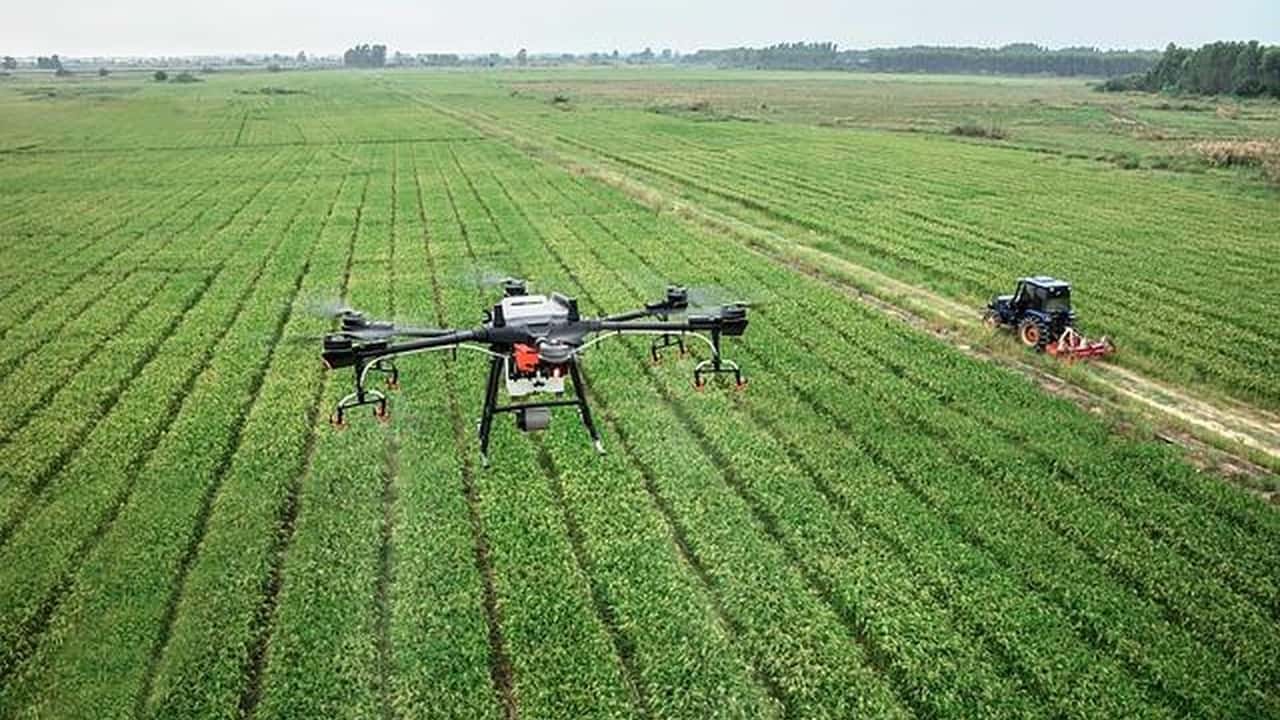 Il Senato ha aperto alla sperimentazione dei droni per i trattamenti fitosanitari. Ecco il quadro normativo aggiornato a maggio 2026