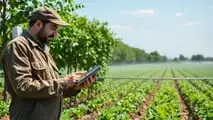 Sensori e AI per programmare i volumi irrigui del pomodoro nel 2026