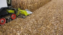 Strategie operative per combinare frantuma stoppie, testata mais e lavorazioni del terreno per contenere piralide e micotossine