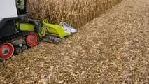 Strategie operative per combinare frantuma stoppie, testata mais e lavorazioni del terreno per contenere piralide e micotossine
