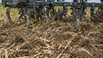 Gestione pratica di residui colturali e cover crop per favorire emergenza uniforme e inserimento della soia di secondo raccolto in sistemi conservativi
