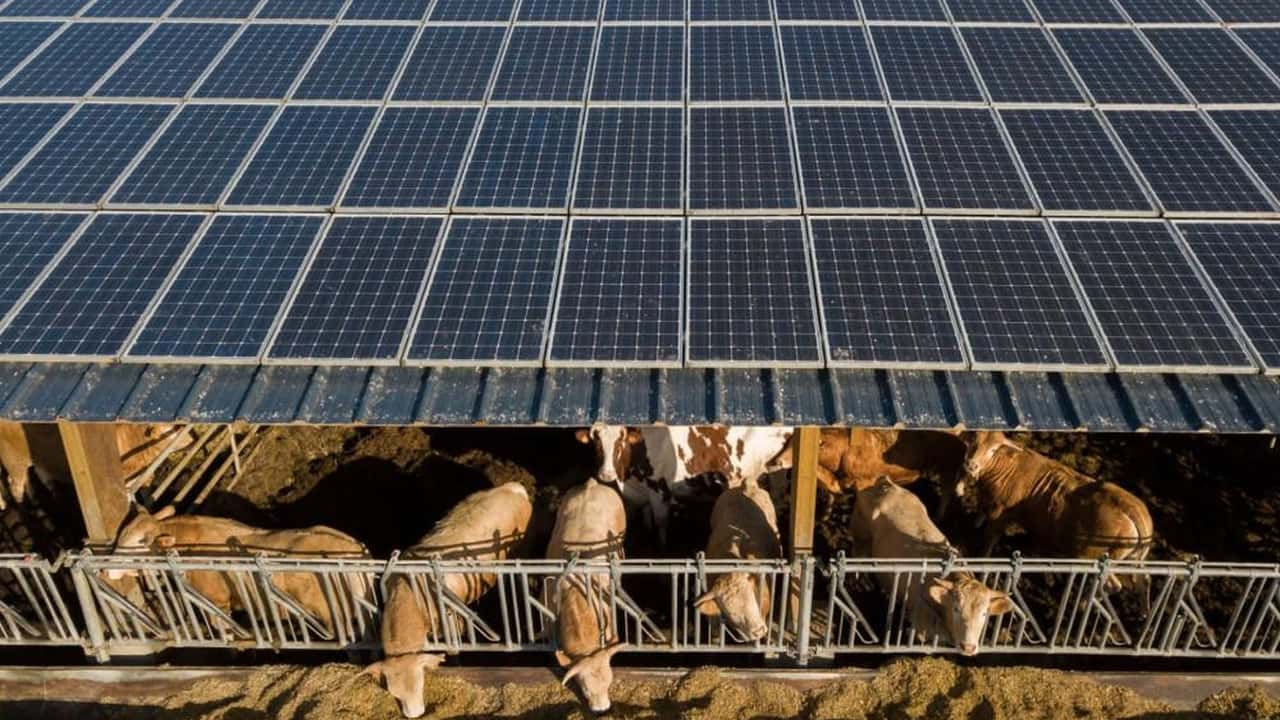 Lombardia: rinnovabili, soglia 0,8% su terreni agricoli