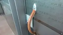 Pagani Tesis Turu