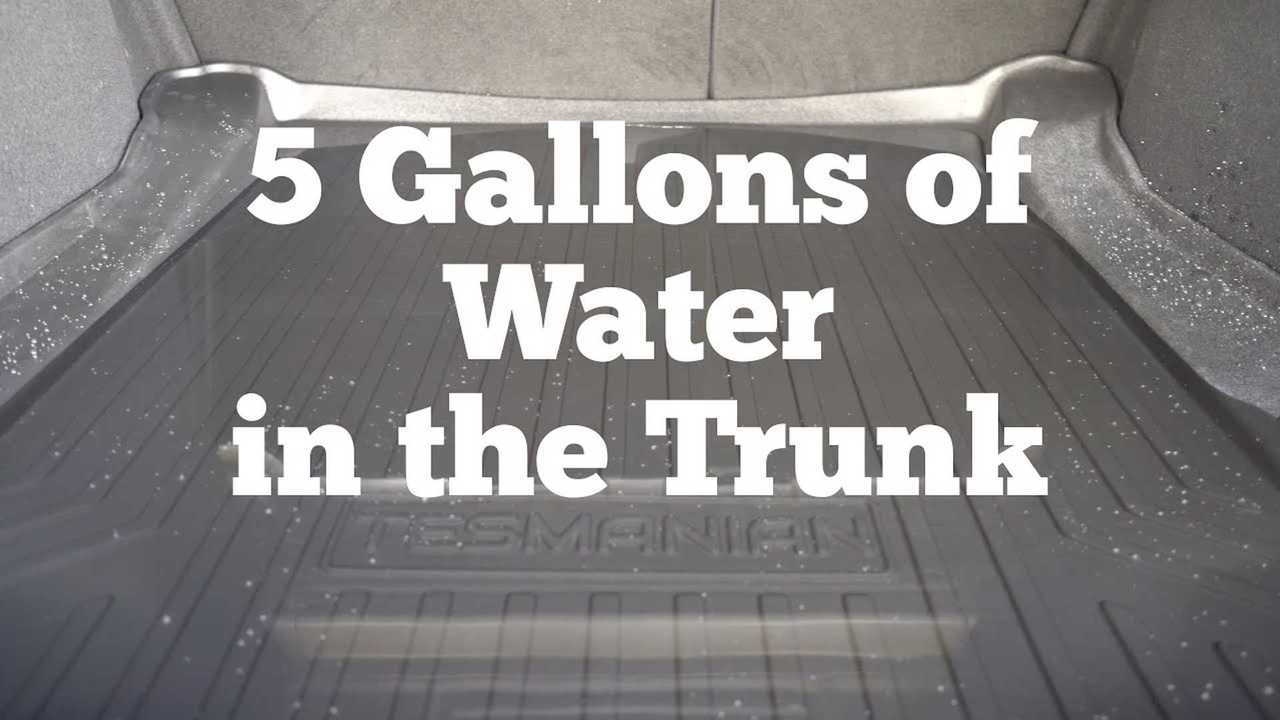 Would You Put 7.5 Water Gallons Inside Your Tesla Model 3 For An Ad?