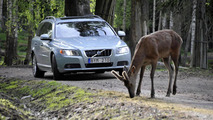 Volvo animal detection system 09.7.2012