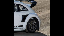 Volkswagen Maggiolino GRC 2015