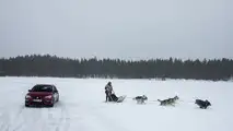 2017 SEAT Leon Cupra ST races sled pulled by huskies