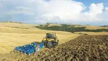 Raptor e Predator Di Raimondo