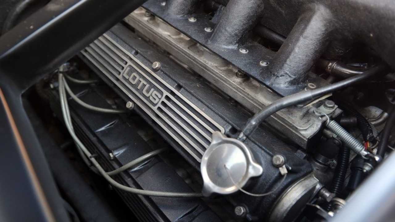 Lotus Etna