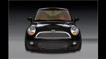 Limitierter Mini von Arden