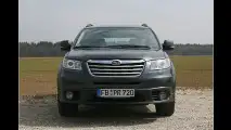 Dicker mit Biss im Test