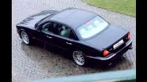 Die sportliche Raubkatze