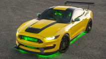2016 Ford Shelby GT350 Mustang Ole Yeller