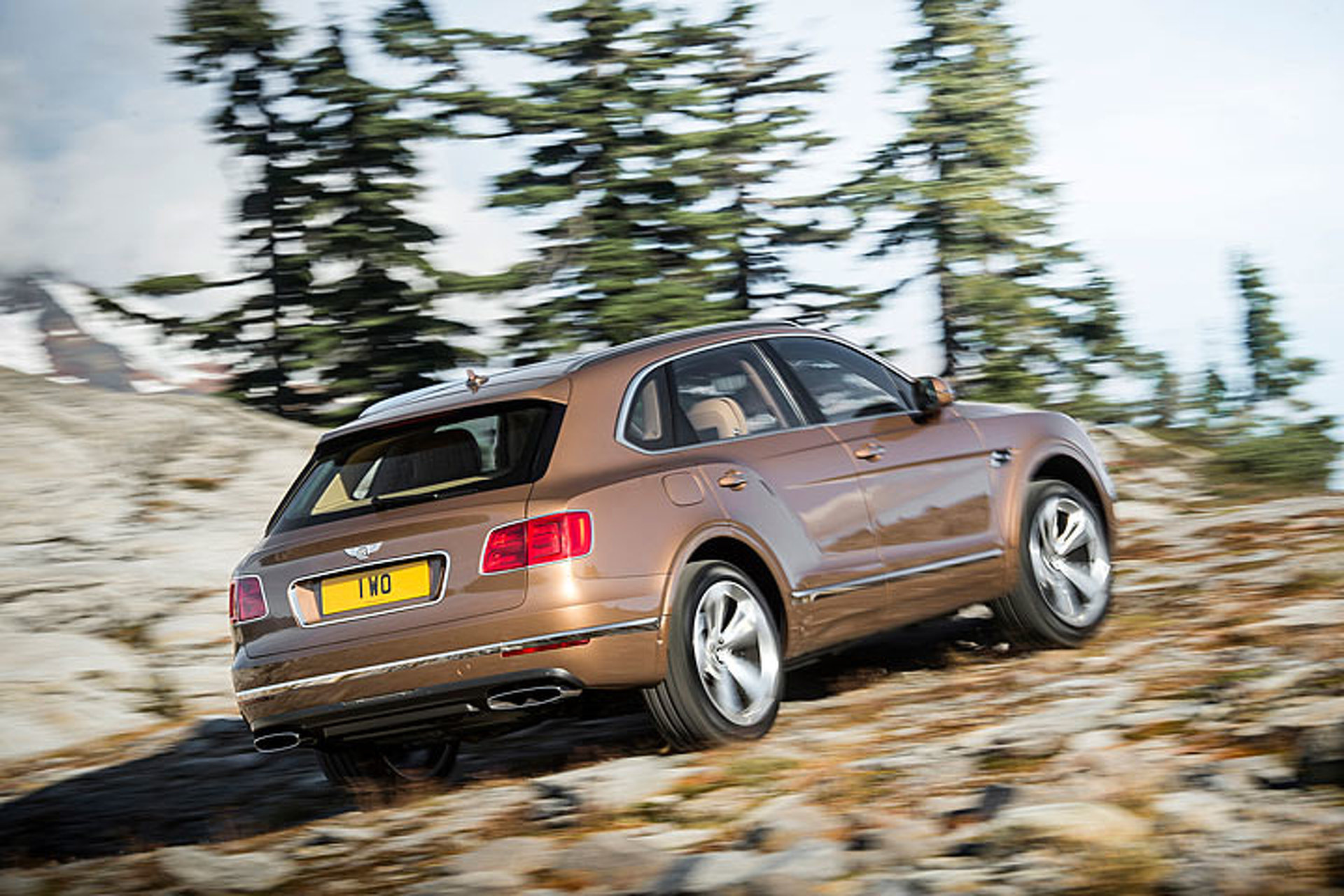 Bentley to Follow Bentayga with CUV and Electric Sports Car