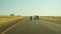 Biker Shows His Hate For Teslas By Striking Model 3 And Running Away