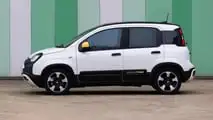 Fiat Panda Pandina