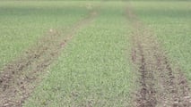 AXION TERRA TRAC il trattore ideale anche per la concimazione