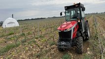 Trattori Massey Ferguson serie MF 3 Speciali