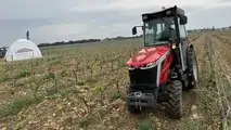 Trattori Massey Ferguson serie MF 3 Speciali
